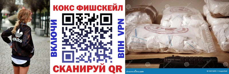 Cocaine Fish Scale  МЕГА ссылка  Дальнереченск  купить наркотик 