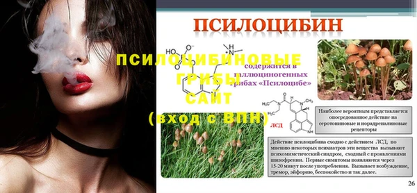 круглые Белокуриха